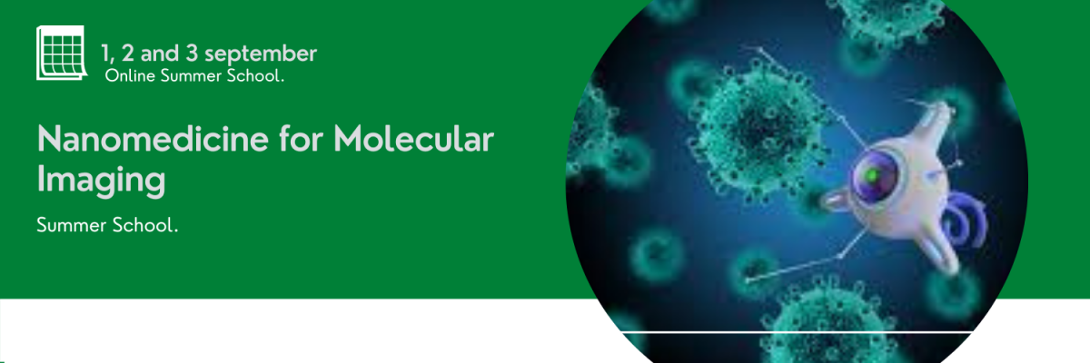 Summer School on Nanomedicine for Molecular Imaging